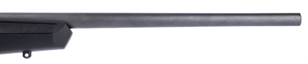 SAVAGE B22F | FIXED SIGHTS - Image 7